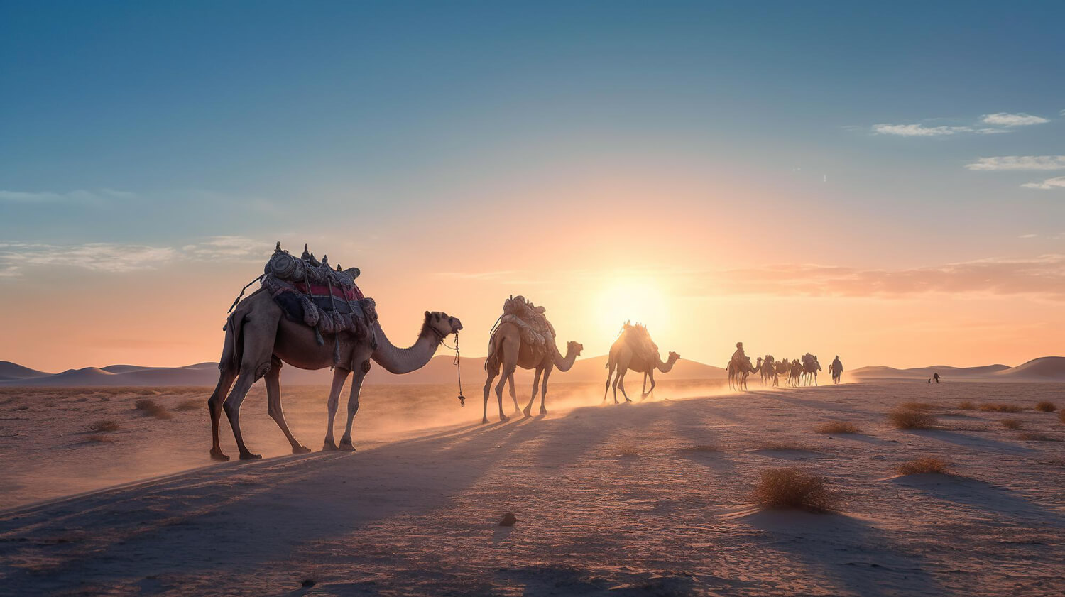 Morning Desert Safari, Camel Riding, Sand Boarding, Dune Bashing