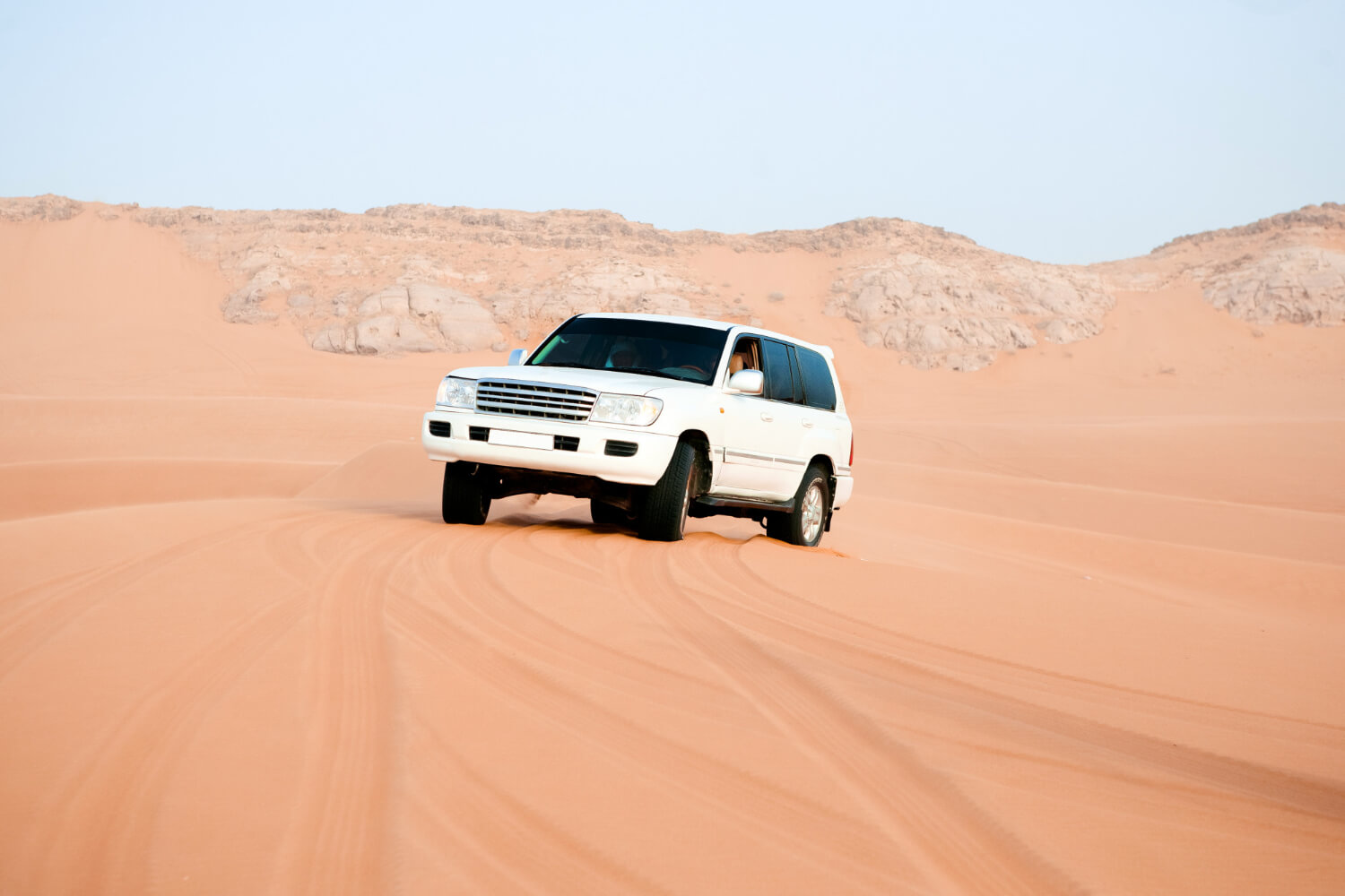 Morning Desert Safari, Camel Riding, Sand Boarding, Dune Bashing