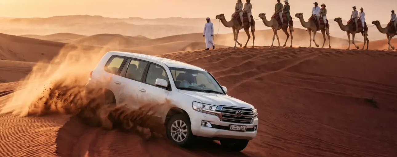 Morning Desert Safari Dubai with Red Dunes & Camel Trekking